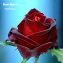 Black Baccara